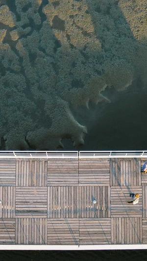 快速seo推广工具截图4