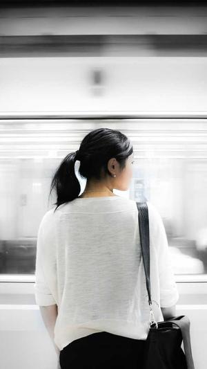 网站建设发布截图2