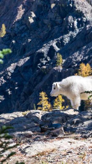 seo查询工具使用教程截图2