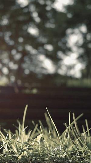 小旋风蜘蛛池x902源码截图4