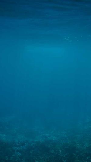 泛目录代发截图3