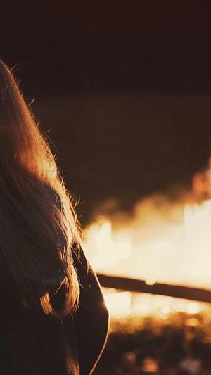 泛目录链接推广截图2