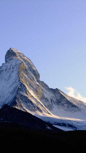 蜘蛛池的原理图解截图2