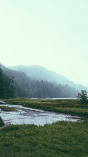 泛目录站群源码蜘蛛池截图1