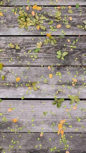 丰城网站建设截图5