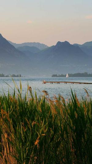 四川网站建设截图1