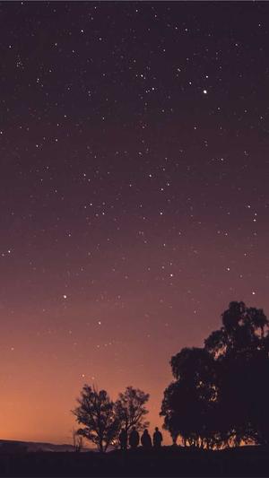 seo工具哪种好用截图4