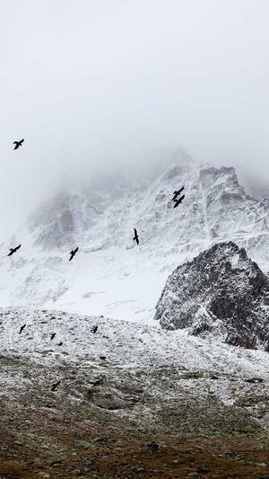 鹤壁网站建设截图2