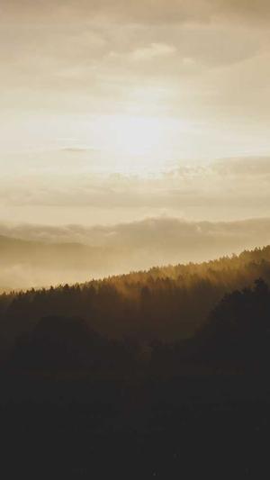 蜘蛛池新闻截图2