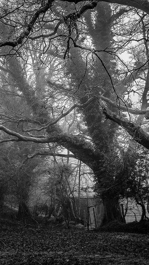 快速排名seo工具截图1