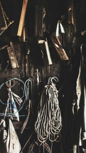 蜘蛛池有什么好的截图4