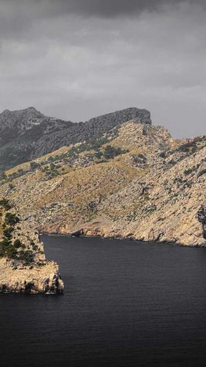 seo推广软件截图3