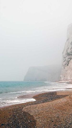 泛目录寄生虫截图1