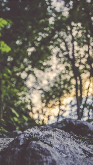 网站建设行业截图3