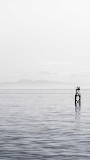 丰城网站建设截图3