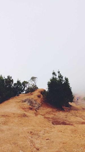 泛目录页面截图3