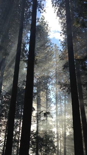 苏州营销型网站建设截图3