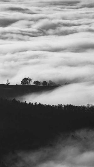 提升关键词排名seo工具截图5