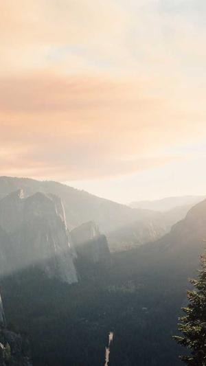 晴天蜘蛛池有用吗截图4