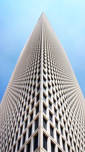 霸屏侠泛目录程序截图3