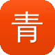 青岛网站seo诊断工具图标